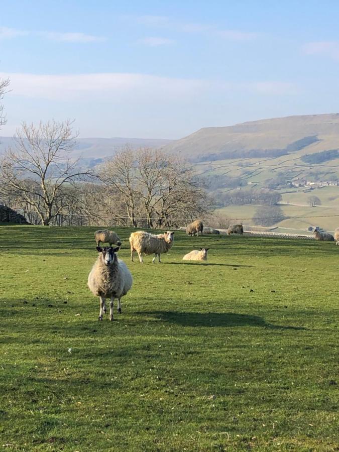 Quarry Cottage Near Hawes, Yorkshire Dales, Pet Free Екстер'єр фото